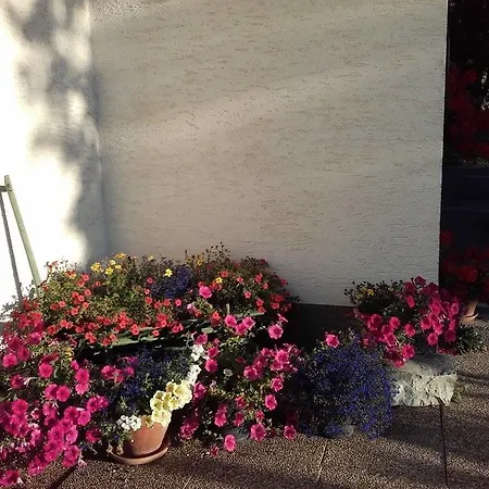 Strasser Apartment Ramsau am Dachstein