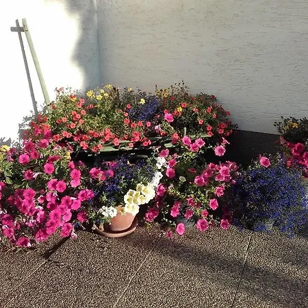 Strasser Διαμέρισμα Ramsau am Dachstein