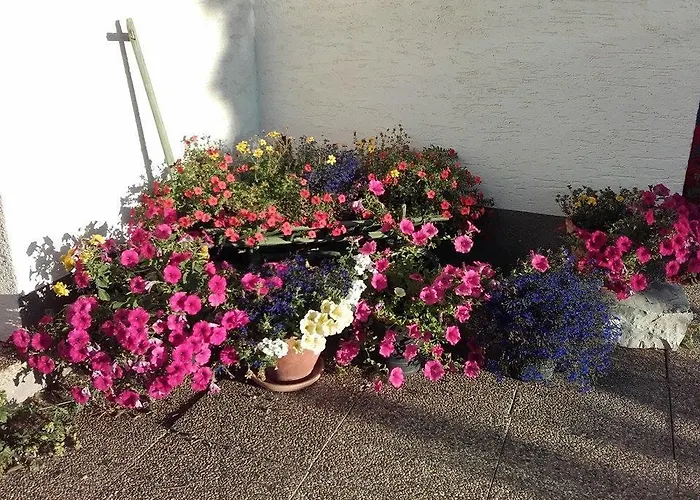 Strasser Appartement Ramsau am Dachstein